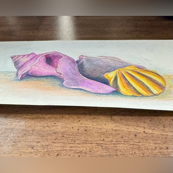 NEW Handmade Hand Crafted Beach Sea Shell Drawing Ocean Object Study Home Art - Picture 3 of 6
